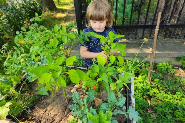 img-20260805-wa0001242C7E7E-6C9C-7B04-5434-10EB60F9C949.jpg
