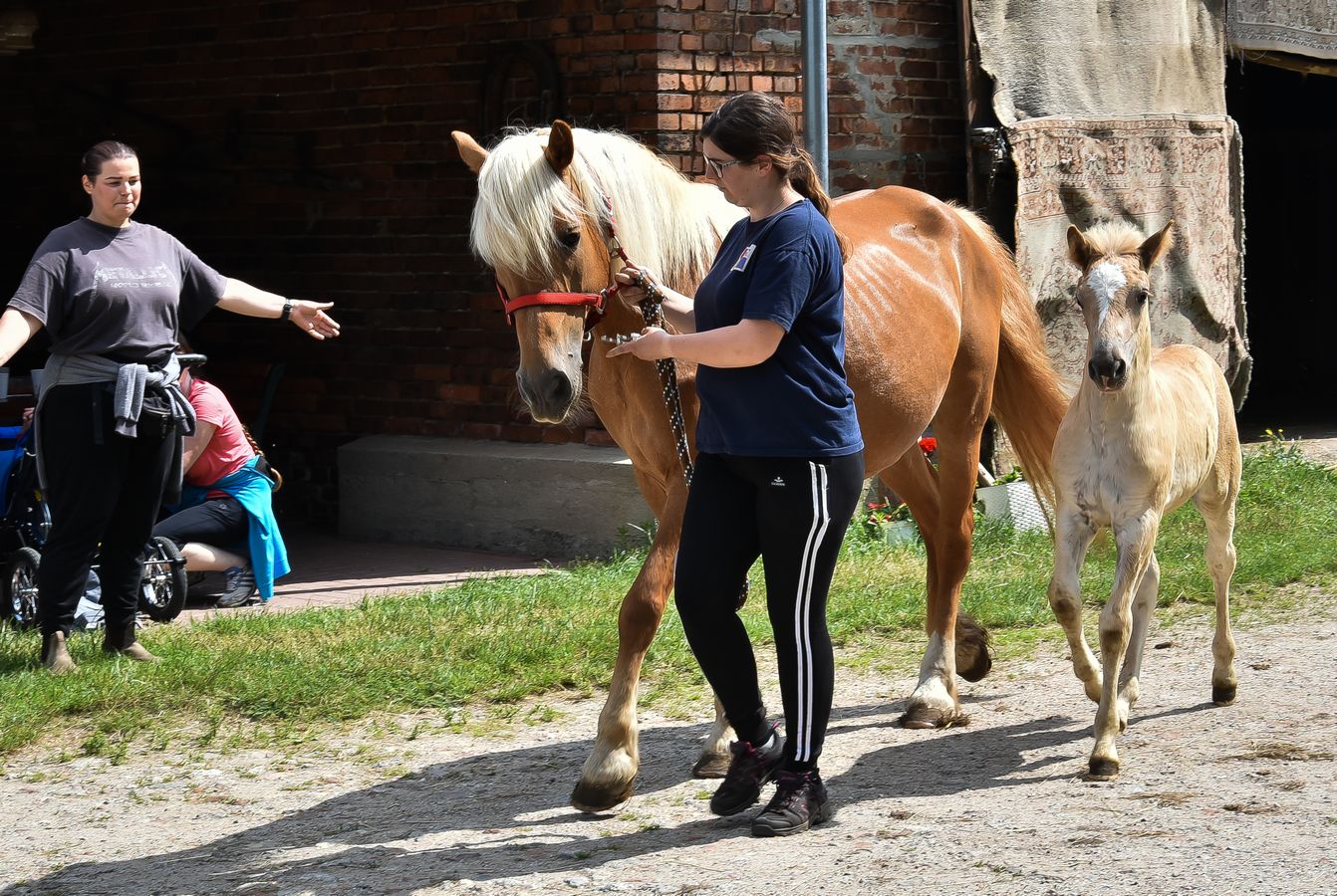 DZIEŃ DZIECKA W BIEŃKOWIE — zdjęcie 2 z 40